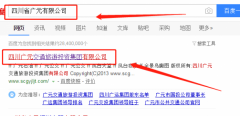 四川廣元交通旅游投資集團有限公司與本司簽約網站推廣項目