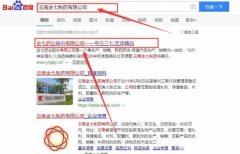 云南金*制藥有限公司網站建設優秀設計作品