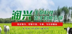 潤*生物科技張北有限公司網(wǎng)站設計基本流程