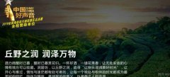 四川省眉山市*居坊食品有限公司設計網站基本流程