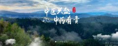 普洱淞*醫(yī)藥集團有限公司網(wǎng)站建設(shè)新一代自助建站、智能建站系統(tǒng)