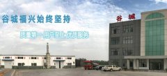 谷城縣福*化工有限公司網站建設有創意的主題設計